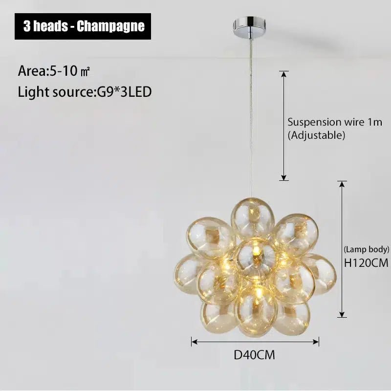Hamilton Collection - Tabby Lighting