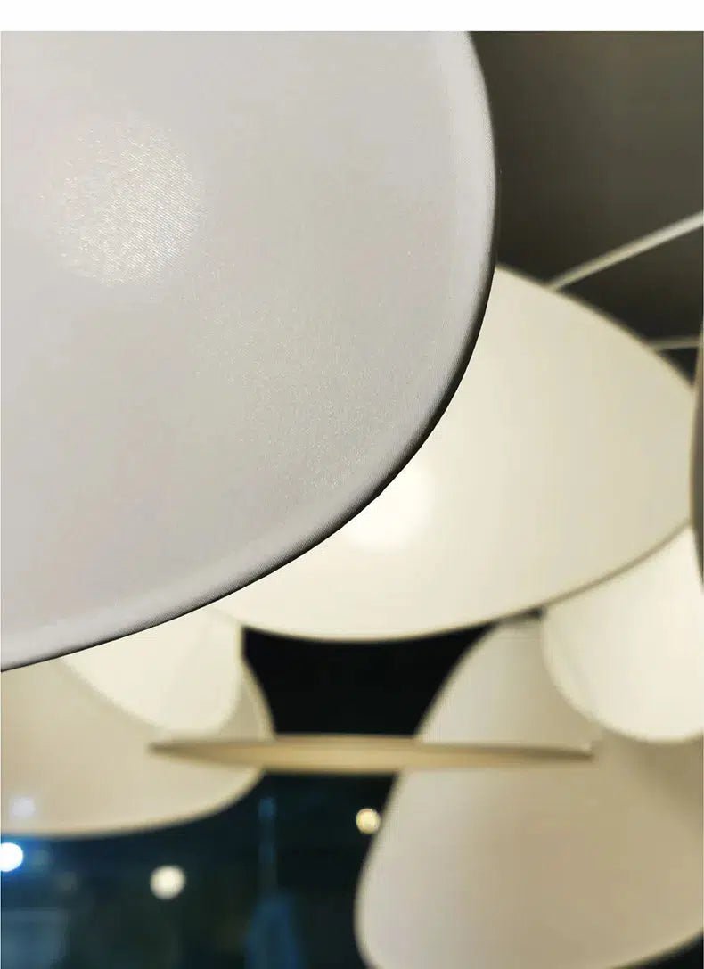 Oaks Collection - Tabby Lighting