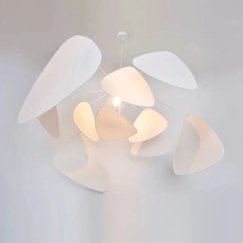Oaks Collection - Tabby Lighting