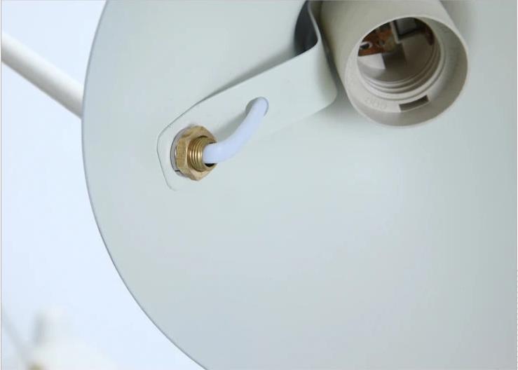 Torrent Collection - Tabby Lighting