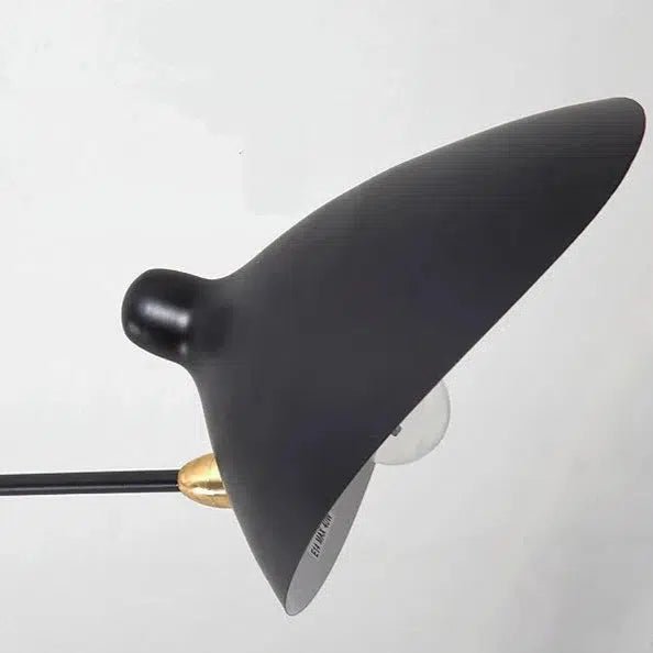 Torrent Collection - Tabby Lighting