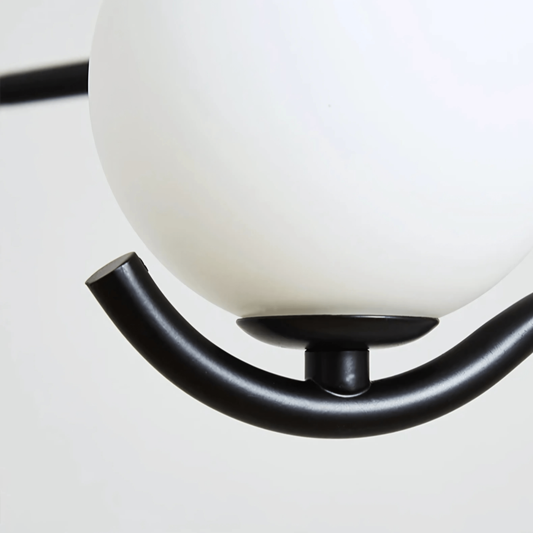 Avalon Collection - Tabby Lighting