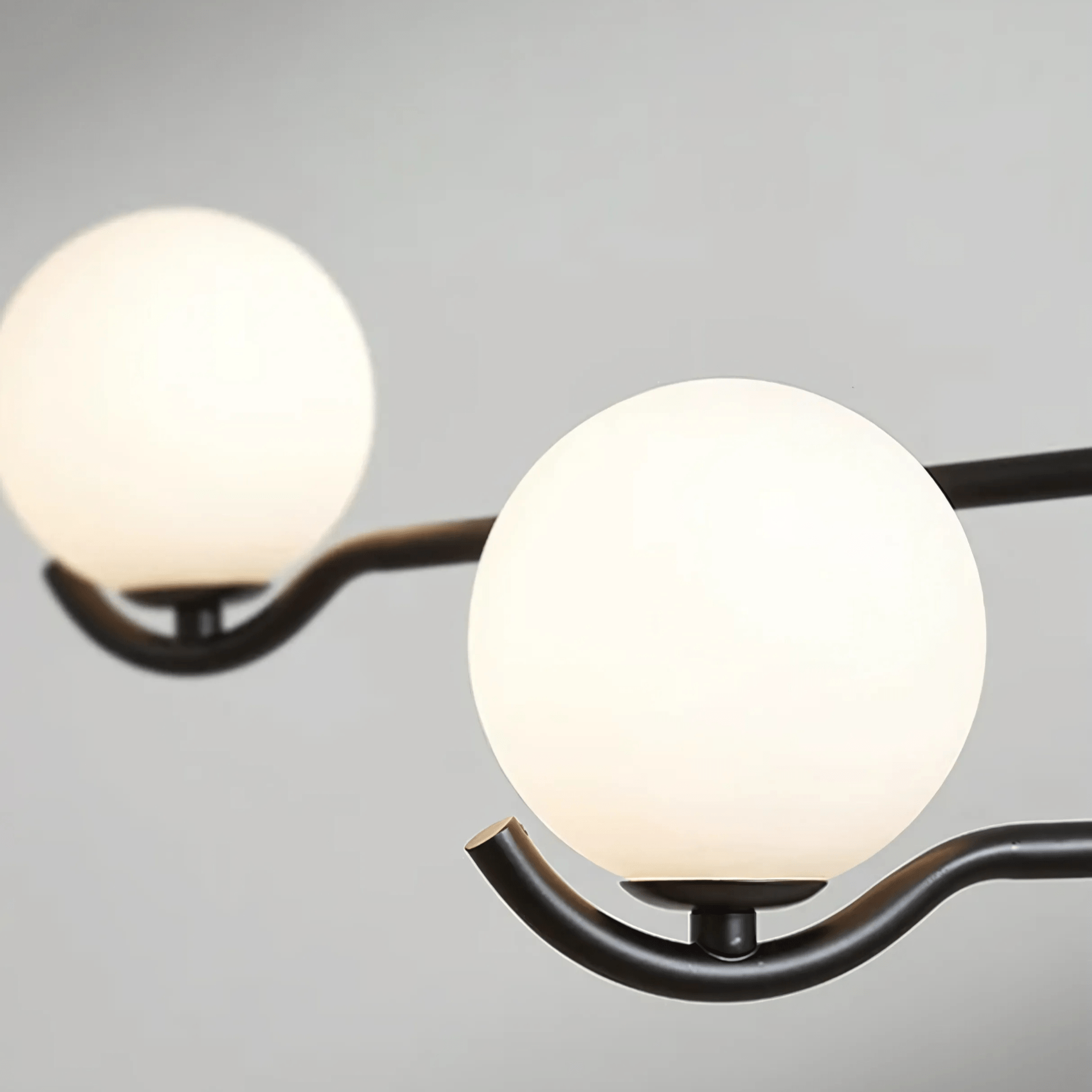 Avalon Collection - Tabby Lighting