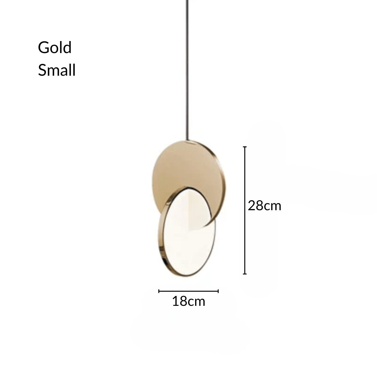 Coin Collection - Tabby Lighting