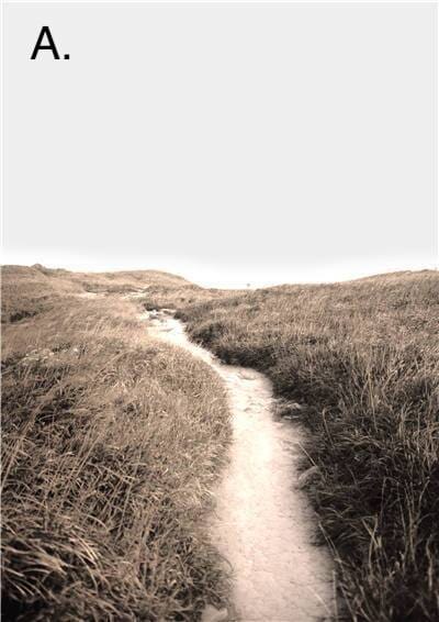 Idyllic Nature Prints - Tabby Lighting