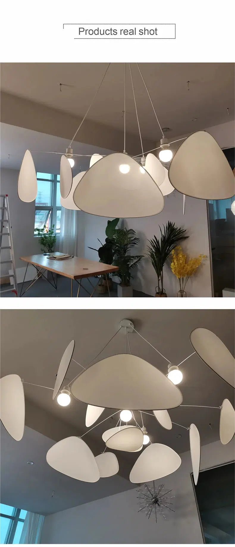 Oaks Collection - Tabby Lighting