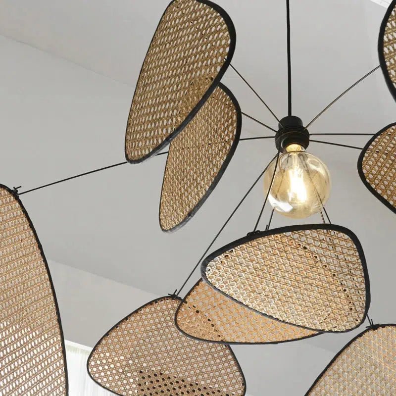 Oaks Collection - Tabby Lighting