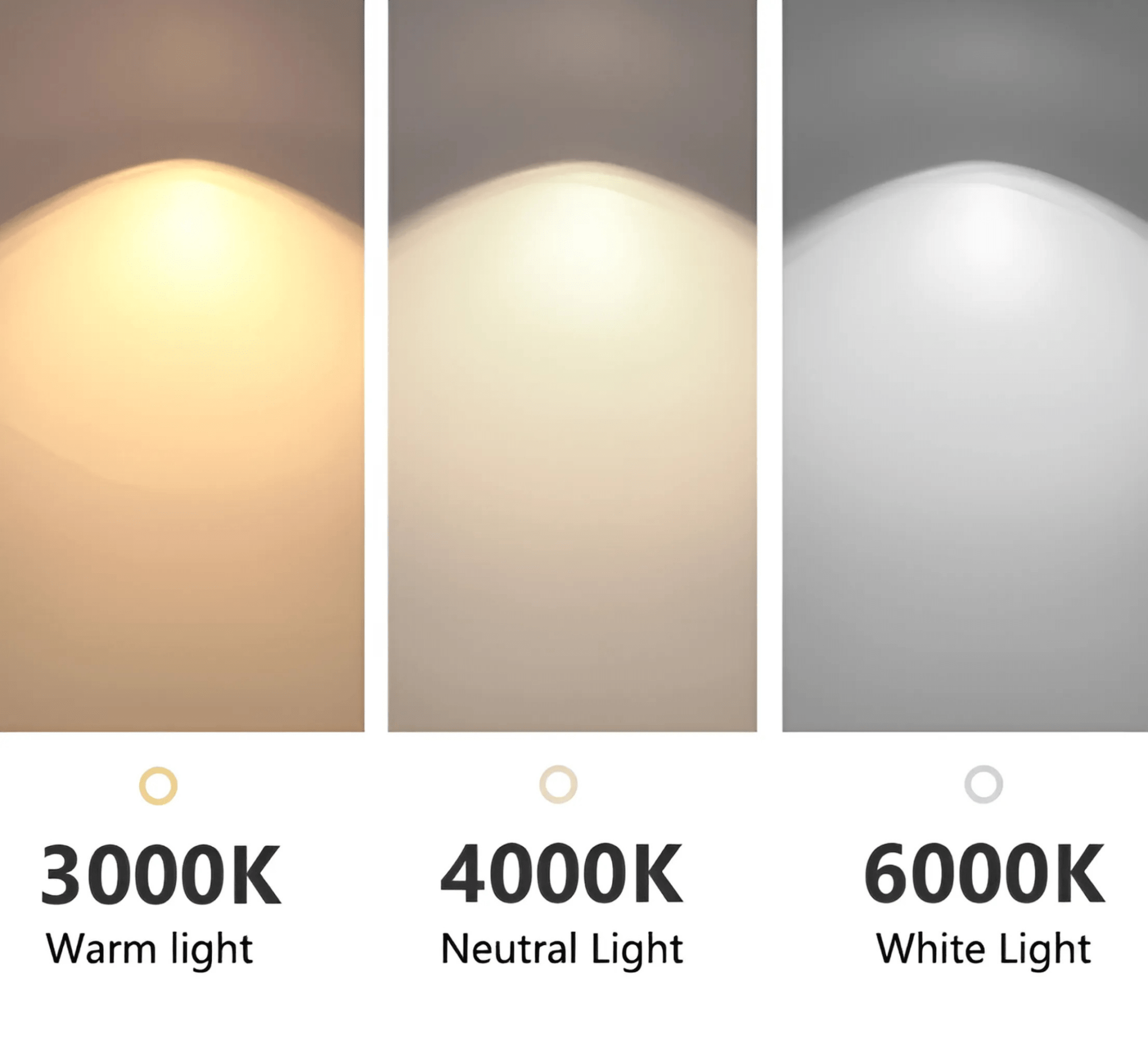 Panorama Collection - Tabby Lighting