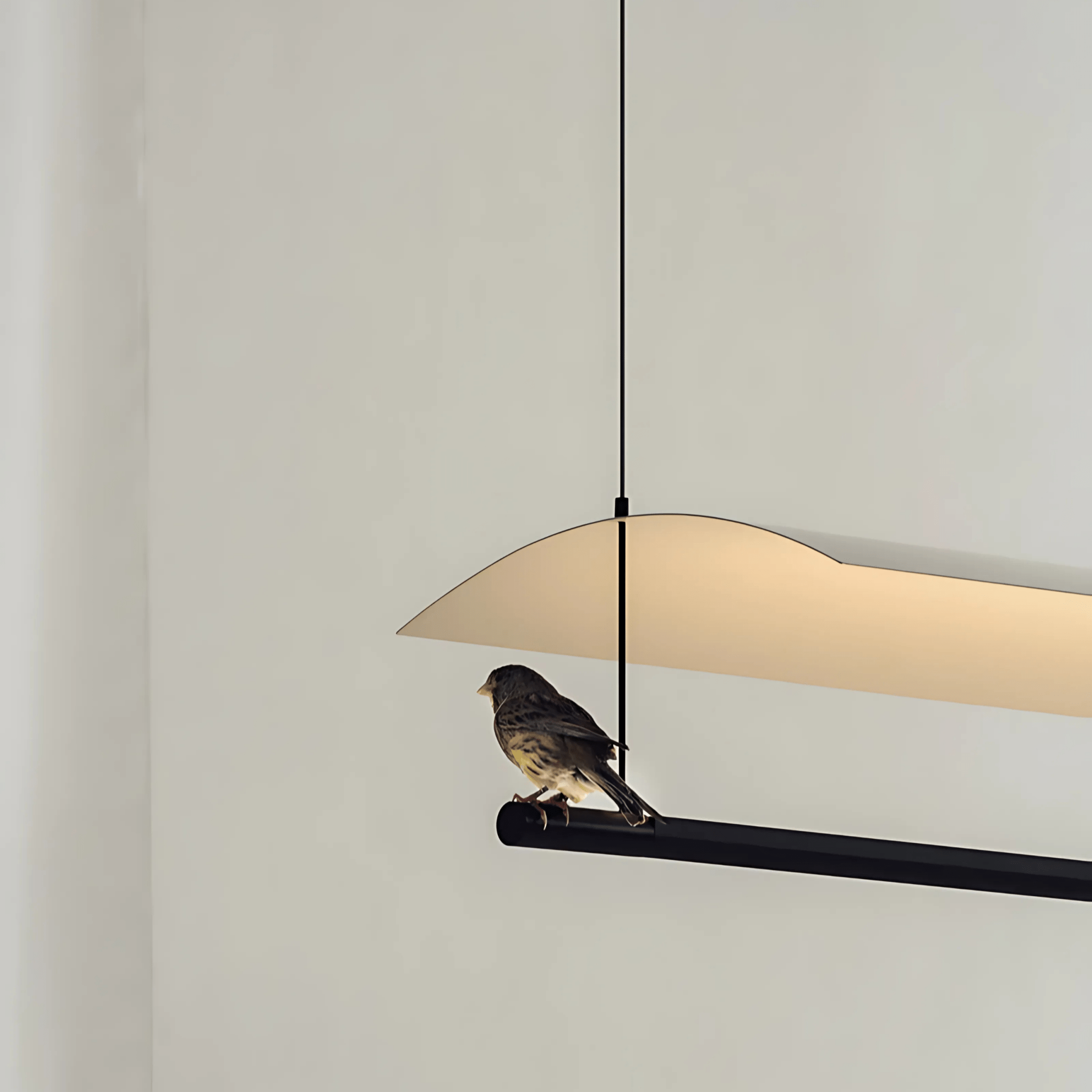 Selene Collection - Tabby Lighting